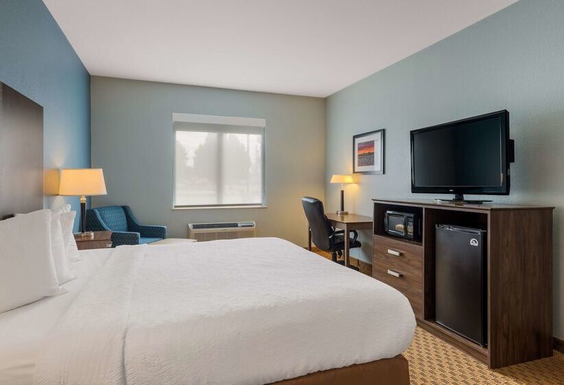 호텔 Best Western South Plains Inn & Suites