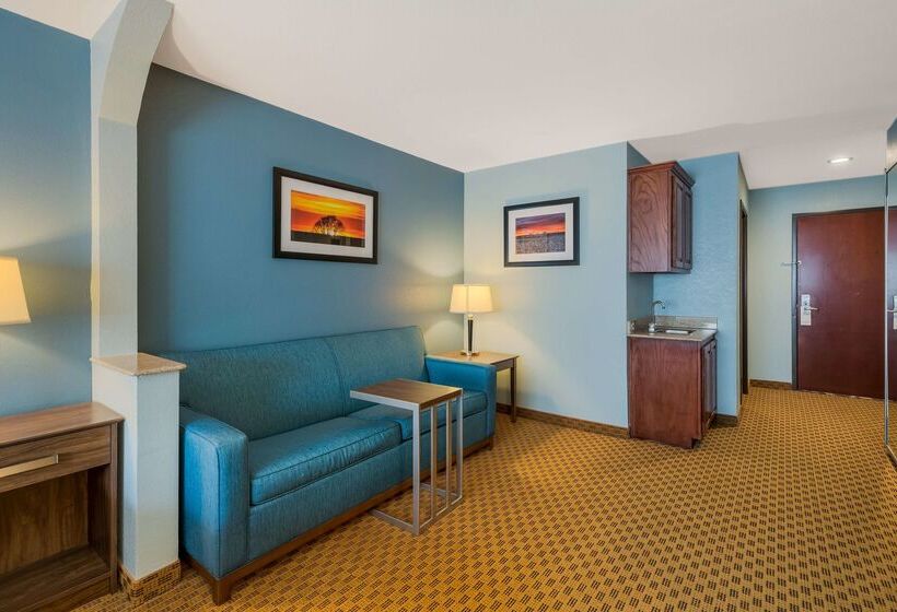 호텔 Best Western South Plains Inn & Suites