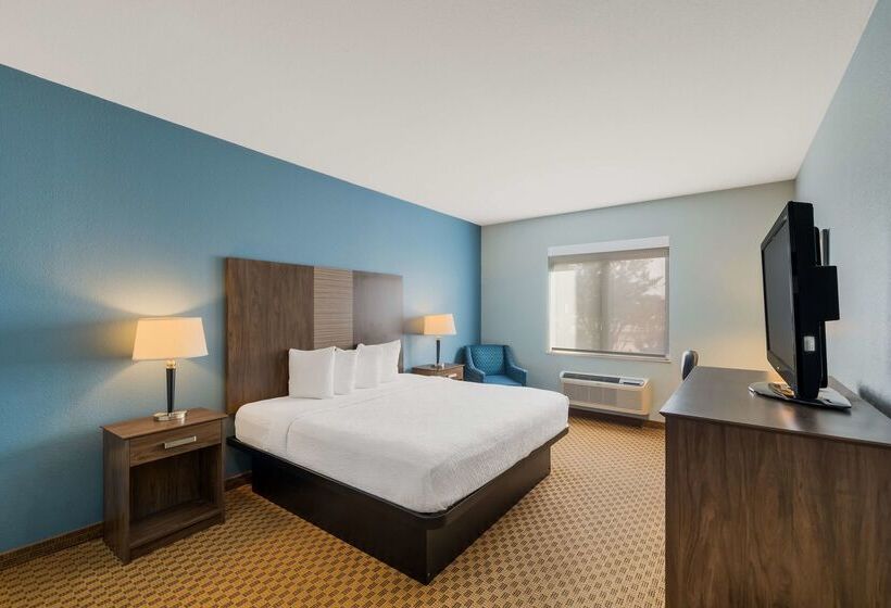 호텔 Best Western South Plains Inn & Suites