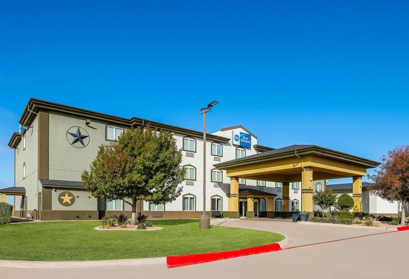 호텔 Best Western South Plains Inn & Suites