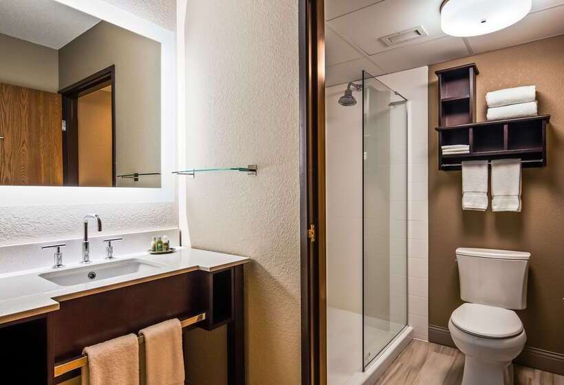 فندق Best Western Stanton Inn