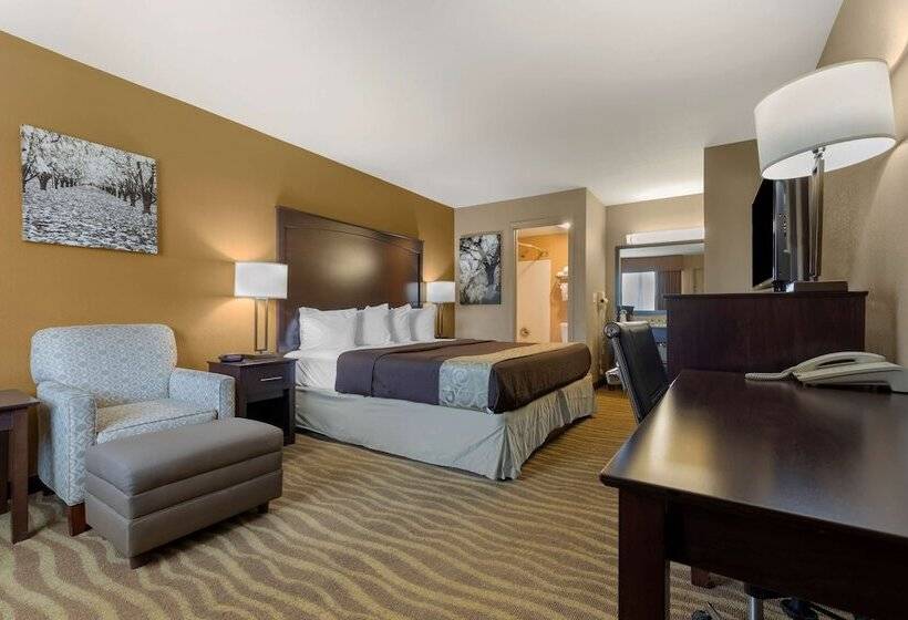 酒店 Best Western Taylor Inn