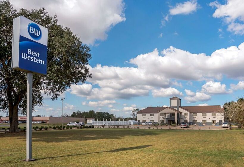 فندق Best Western Ville Platte