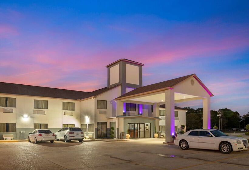فندق Best Western Ville Platte