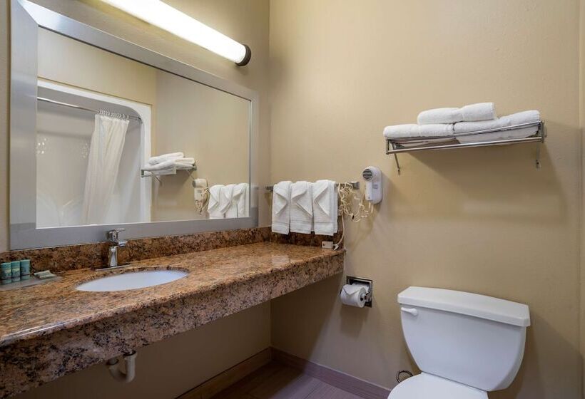 فندق Best Western Ville Platte