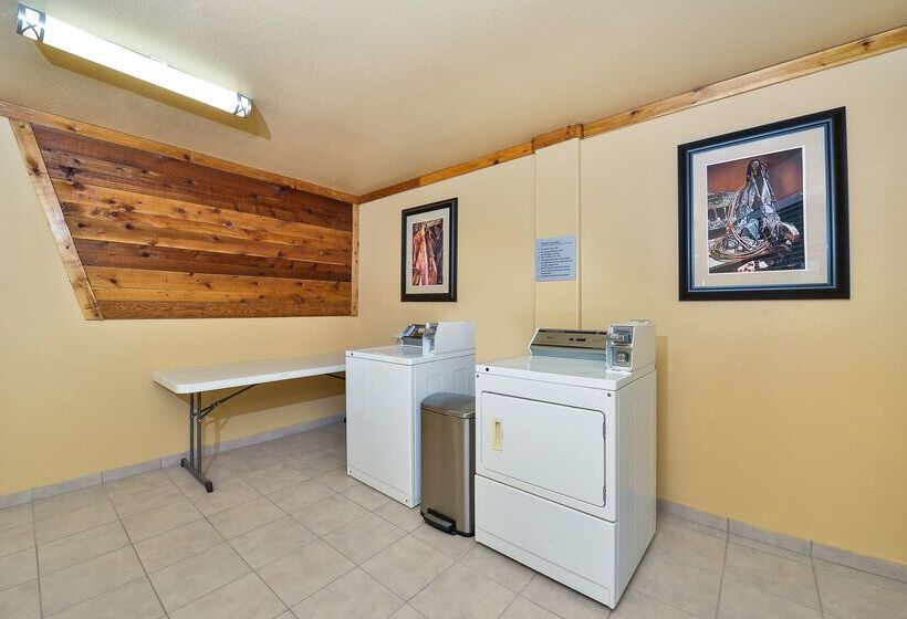 בית מלון כפרי Best Western Windwood Inn & Suites