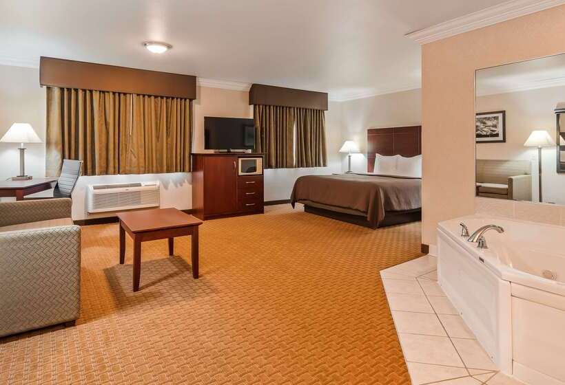 فندق Best Western Wittenberg Inn