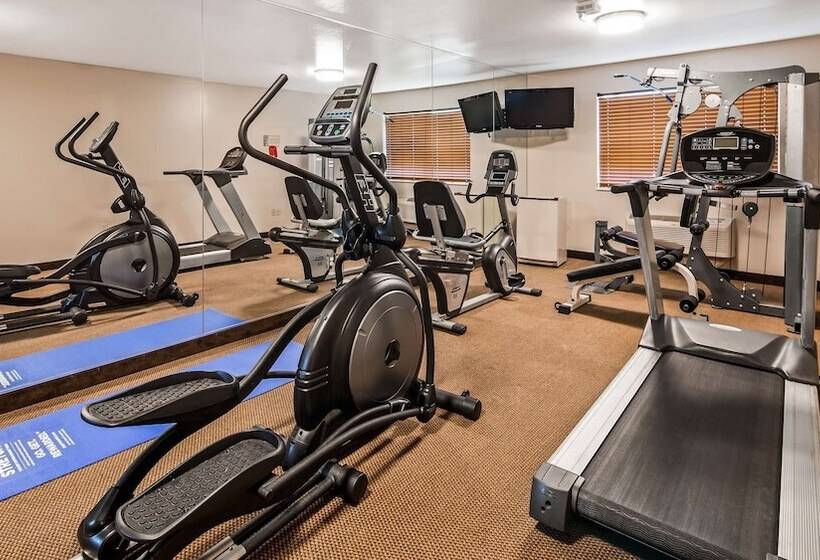 فندق Best Western Wittenberg Inn