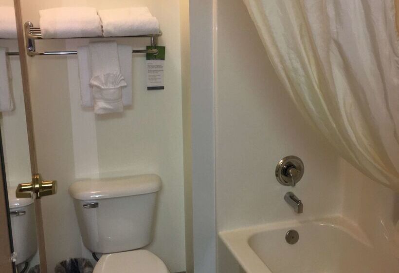 Отель Best Western Yellowstone Crossing