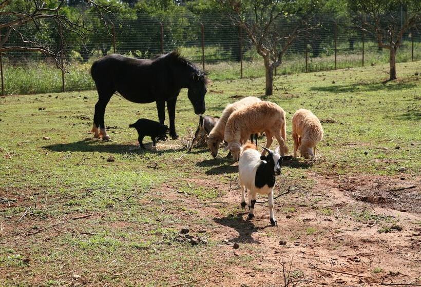 בית מלון כפרי Case Di Latomie Agriturismo   Turismo Rurale