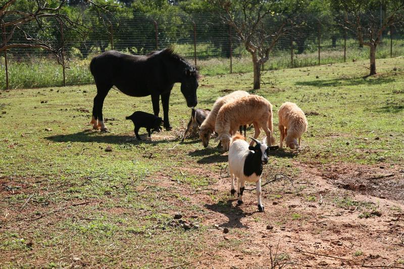בית מלון כפרי Case Di Latomie Agriturismo   Turismo Rurale