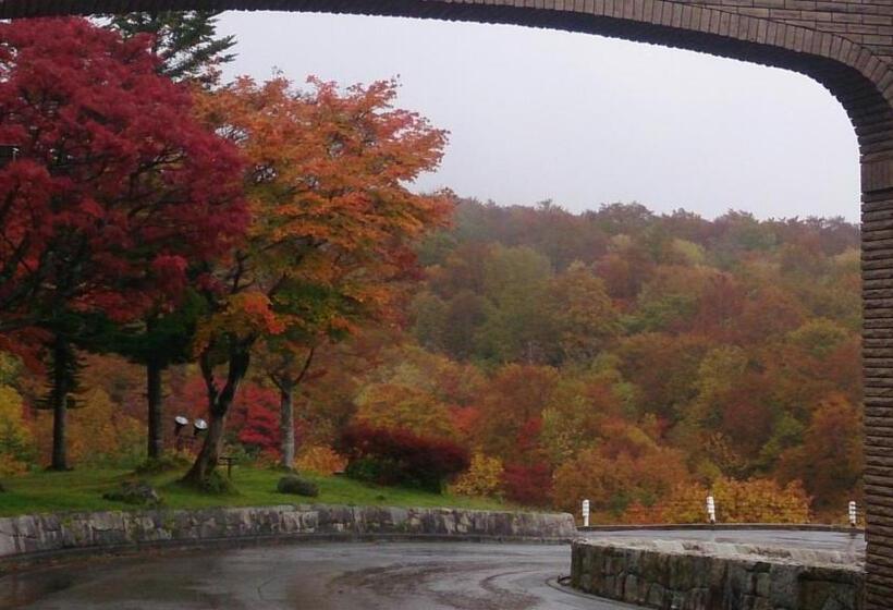 酒店 De Premiere Minowa