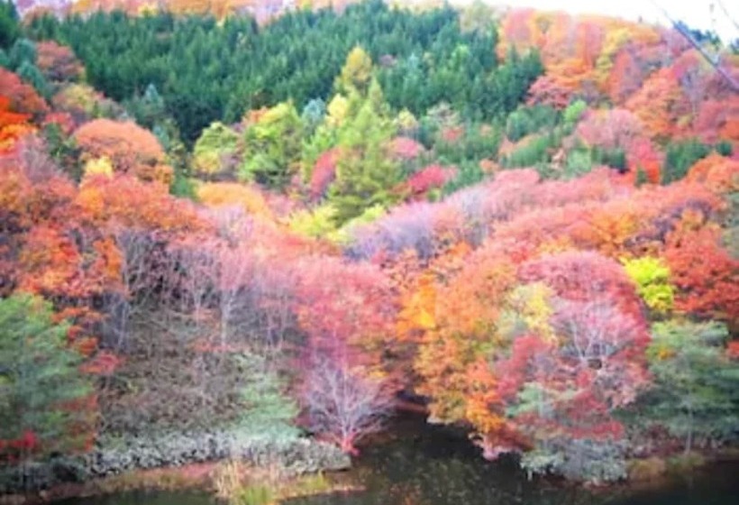 فندق Hakodate Motomachi