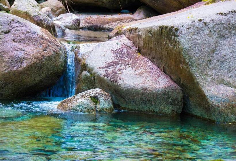 Отель Hôtel Restaurant U Castellu Vizzavona