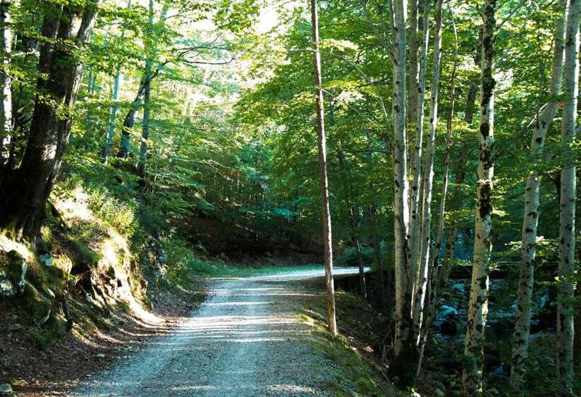 Отель Hôtel Restaurant U Castellu Vizzavona