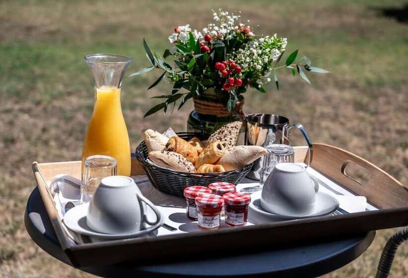 호텔 Hôtel & Séminaire Le Patio Occitan   Toulouse Ouest   Francazal