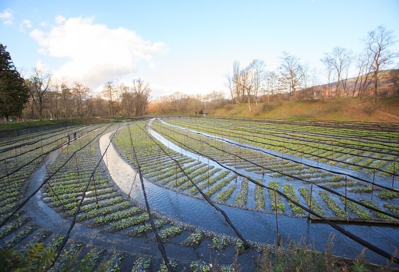 فندق Izumigo Ambient Azumino