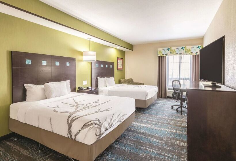 فندق La Quinta By Wyndham Dallas Grand Prairie South