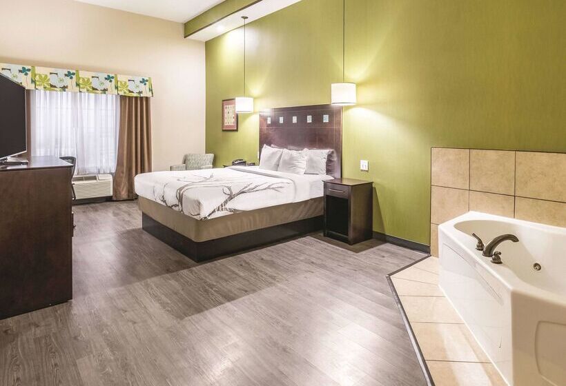 فندق La Quinta By Wyndham Dallas Grand Prairie South