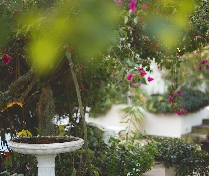 ホテル Last Word Constantia