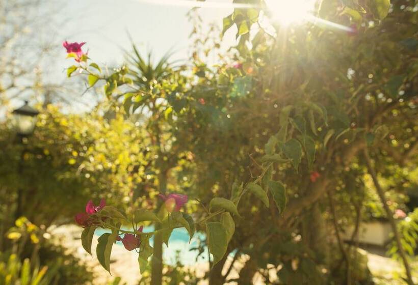 ホテル Last Word Constantia