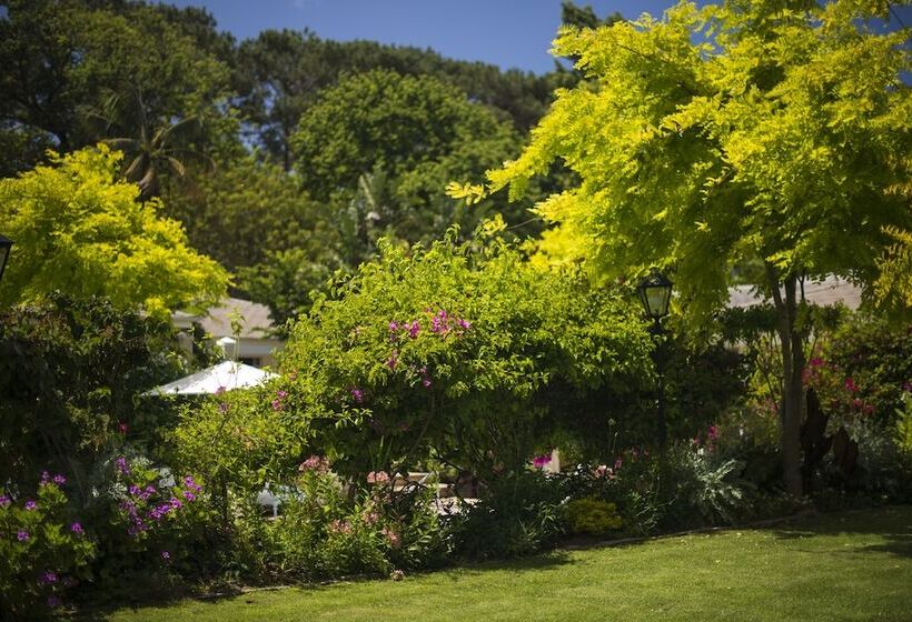 ホテル Last Word Constantia