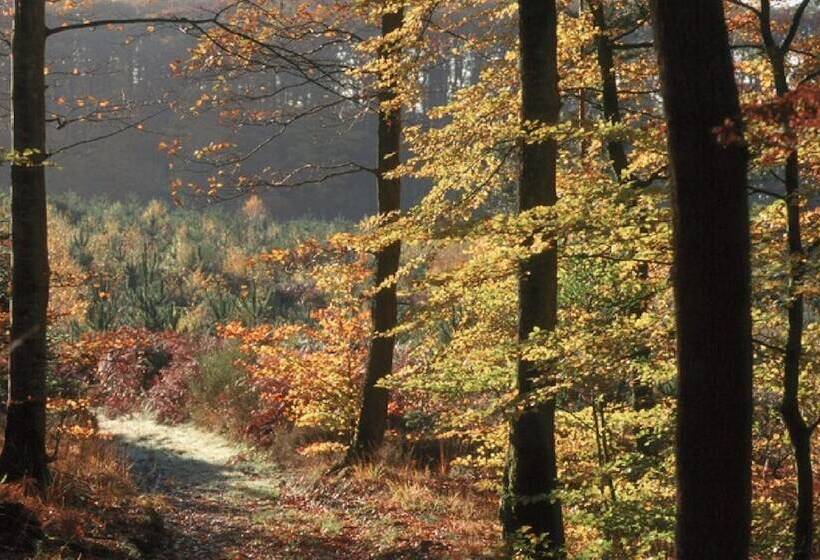 호텔 Les Etangs De Guibert