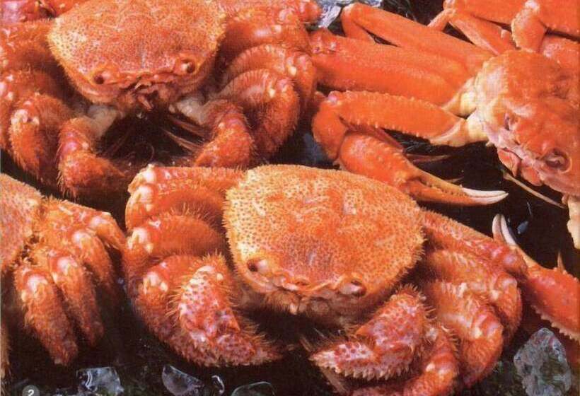 فندق Monbetsu Prince