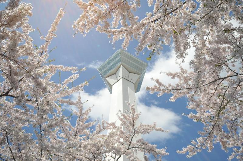 호텔 Mystays Hakodate Goryokaku