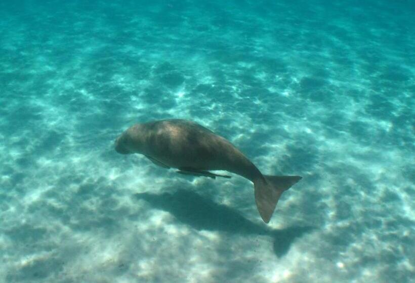 هتل Ningaloo Lodge Exmouth