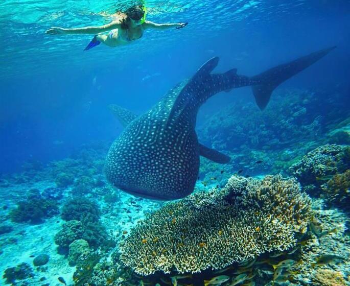 هتل Ningaloo Lodge Exmouth