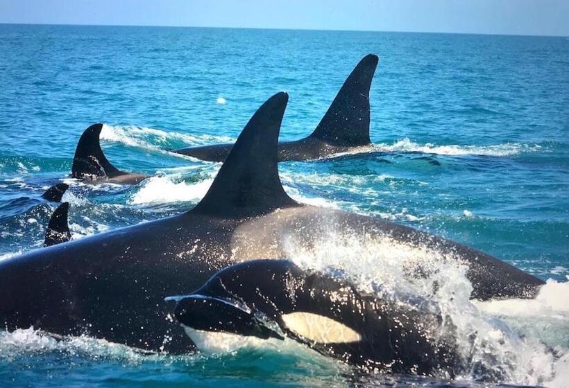 هتل Ningaloo Lodge Exmouth