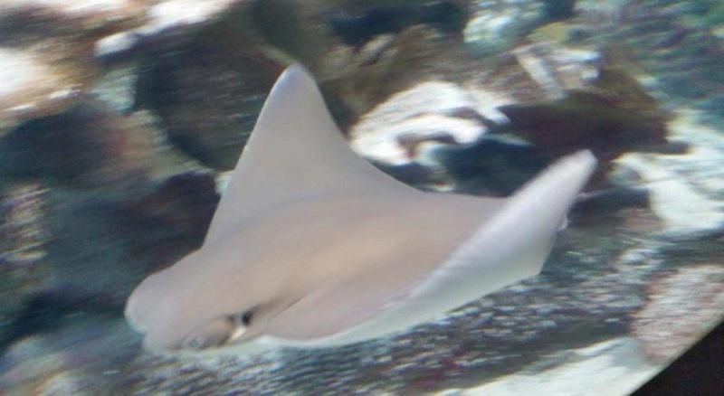 Отель Ningaloo Lodge Exmouth