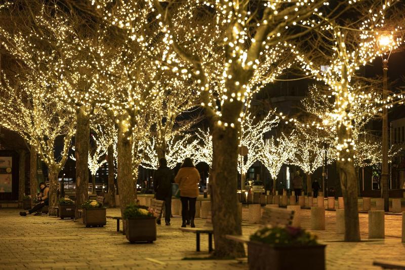 Premier Hotel Mojiko