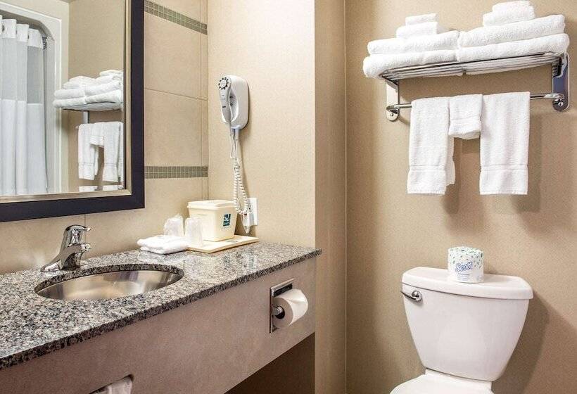 فندق Quality Inn & Suites