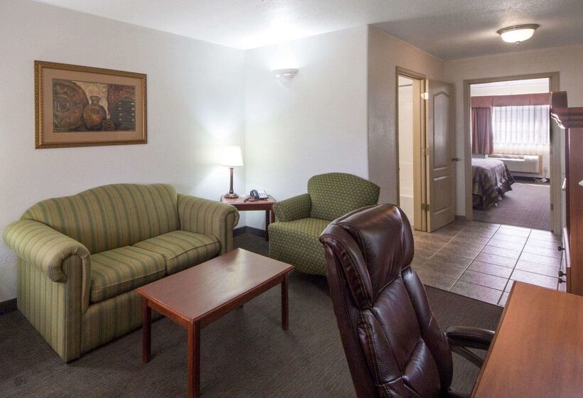 酒店 Quality Inn & Suites