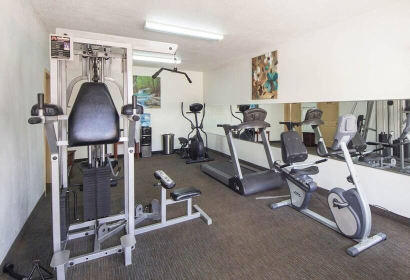 酒店 Quality Inn & Suites