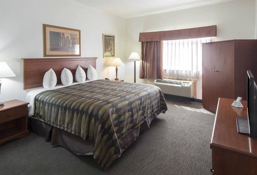 酒店 Quality Inn & Suites