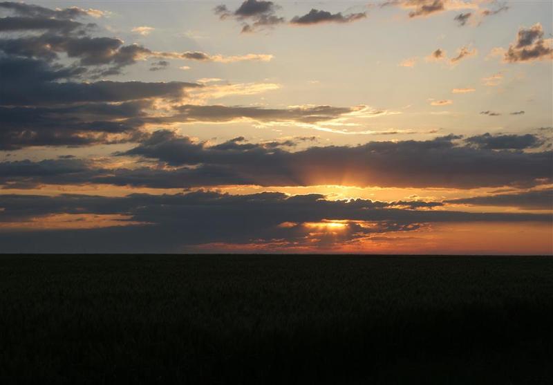 Отель Quality Inn