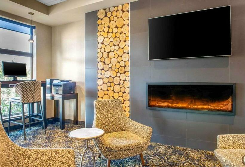 فندق Quality Inn & Suites