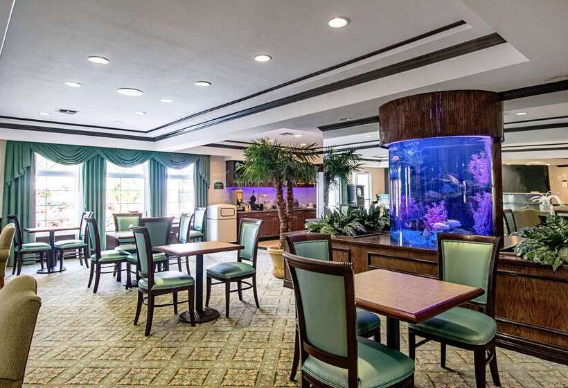 酒店 Quality Inn & Suites