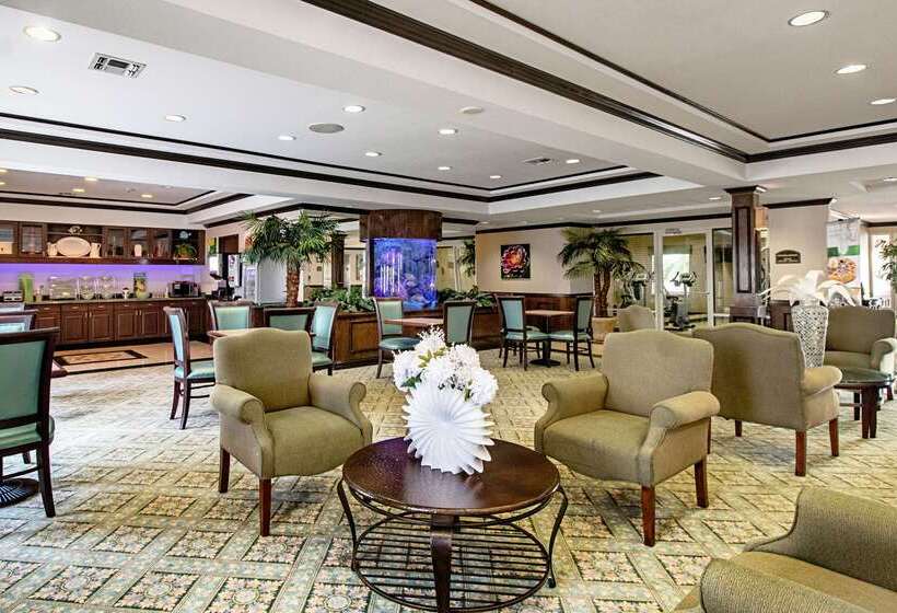 酒店 Quality Inn & Suites