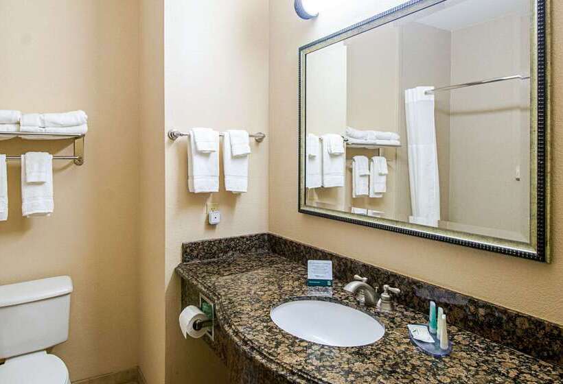 酒店 Quality Inn & Suites