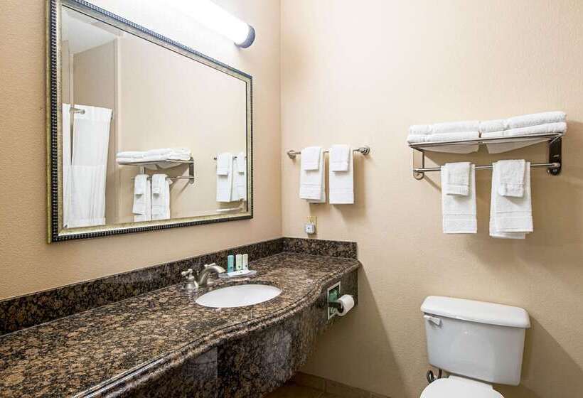 酒店 Quality Inn & Suites