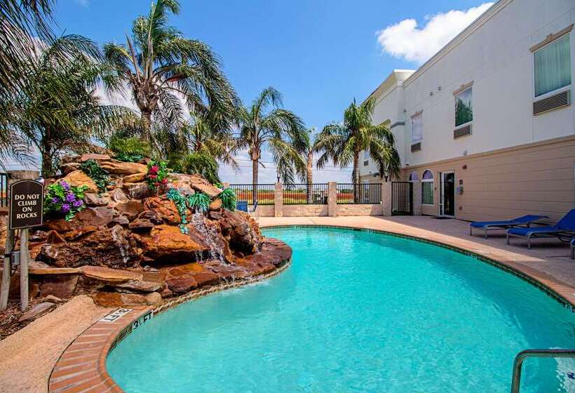 酒店 Quality Inn & Suites