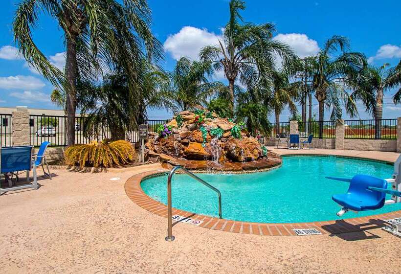 酒店 Quality Inn & Suites