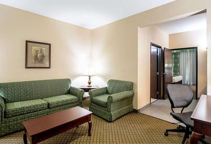 酒店 Quality Inn & Suites