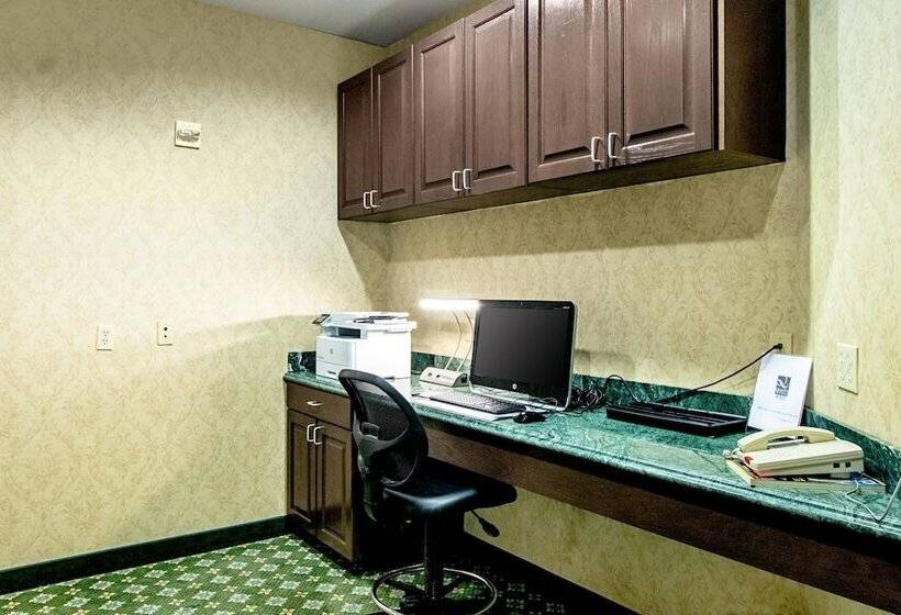 酒店 Quality Inn & Suites