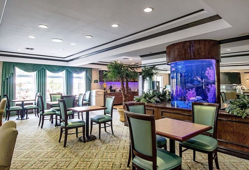 酒店 Quality Inn & Suites