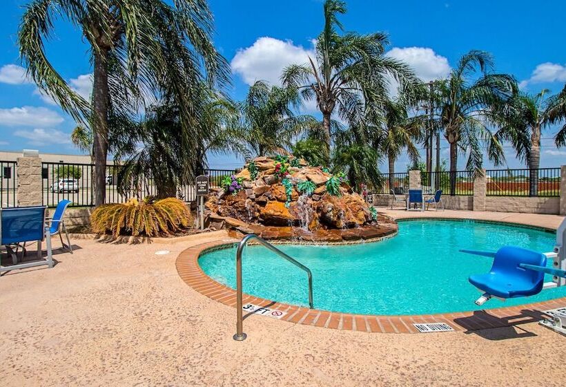 酒店 Quality Inn & Suites